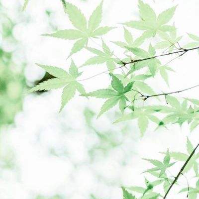贪玩绝世蜀门手游下载
